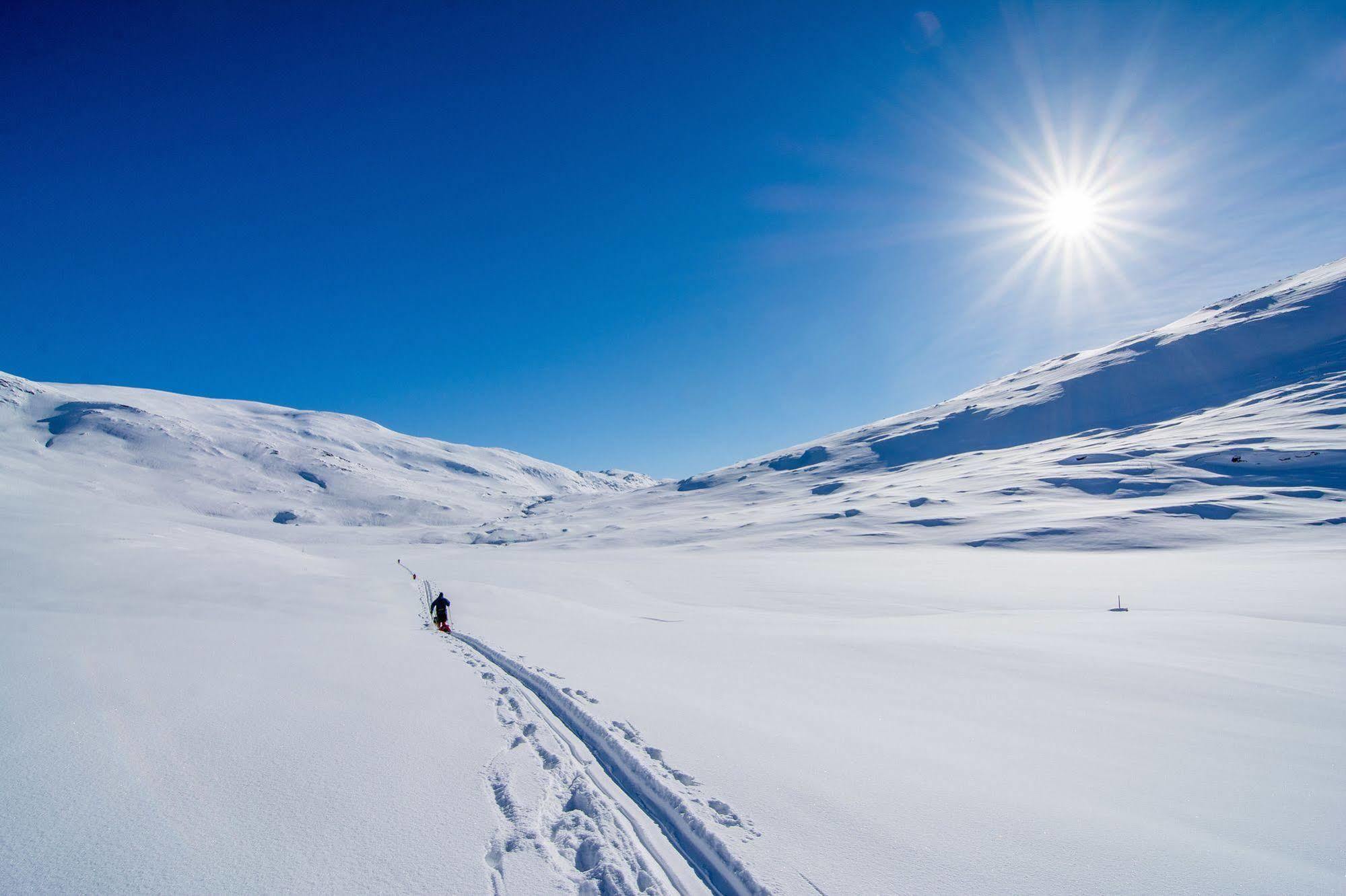 فيلا Saltdal Turistsenter Storjord المظهر الخارجي الصورة